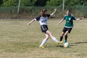 Bild 291 - wBJ TuRa Meldorf/Buesum - JFV Luebeck : Ergebnis: 1:0
